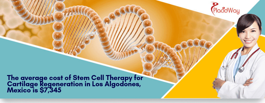 The average cost of Stem Cell Therapy for Cartilage Regeneration in Los Algodones, Mexico is $7,345